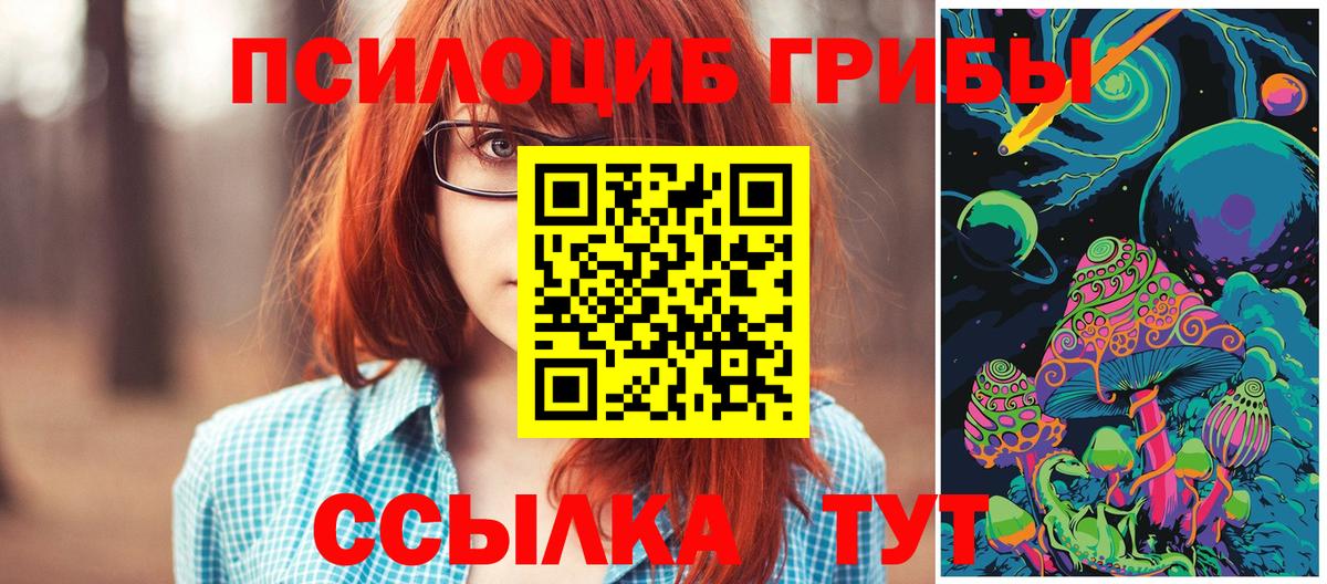 Псилоцибиновые грибы прущие грибы Спасск-Дальний
