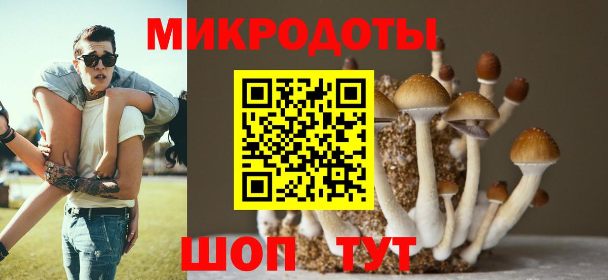 Спасск-Дальний  Псилоцибиновые грибы MAGIC MUSHROOMS  как найти закладки  Вход с VPN  Псилоцибиновые грибы Magic Shrooms 